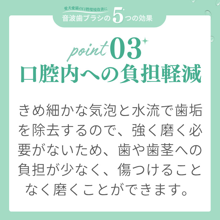 ブーン説明4