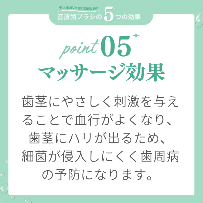 ブーン説明6