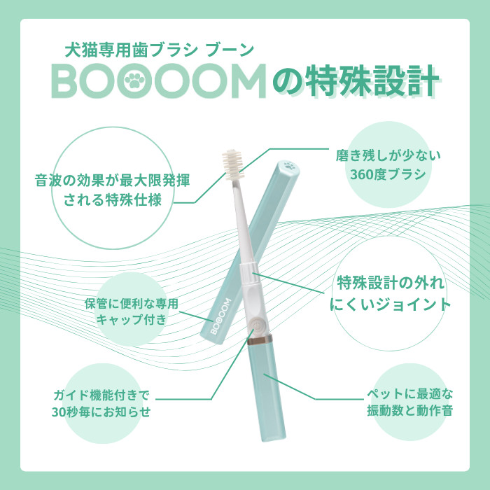 ブーン説明7