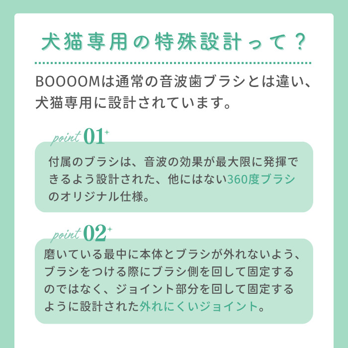 ブーン説明9