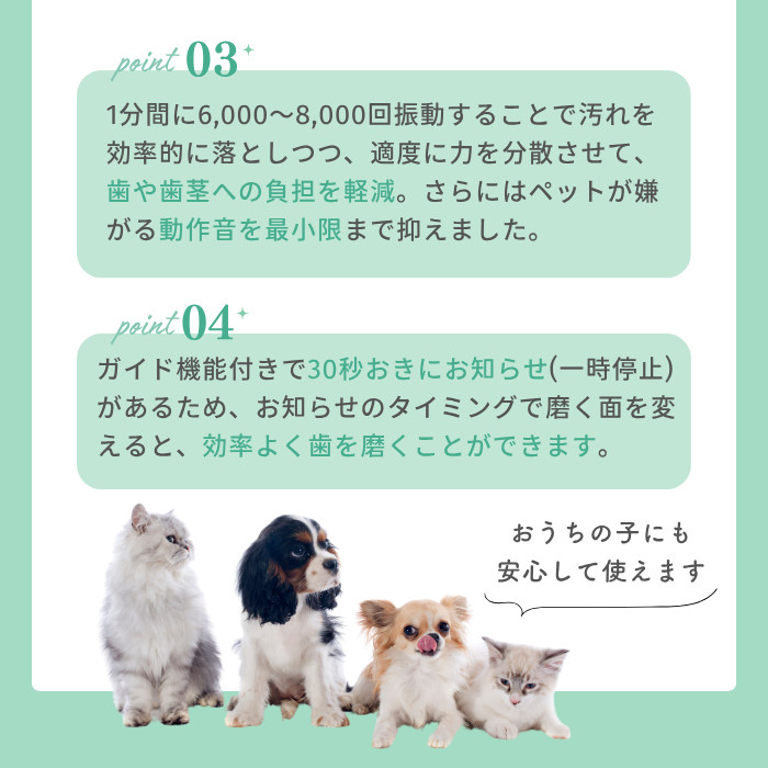 ブーン説明10
