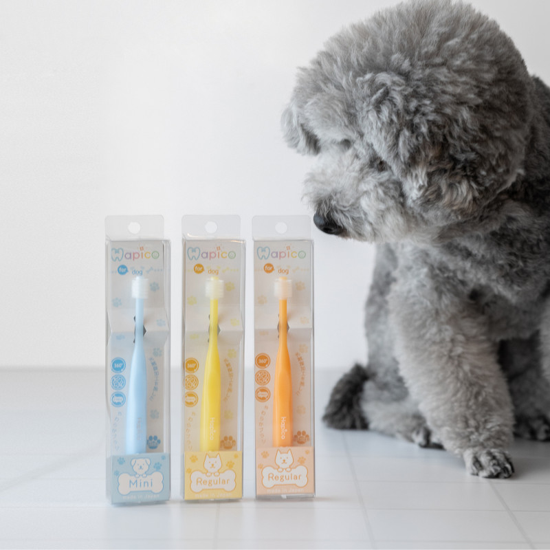 犬用歯ブラシHapico(取寄)