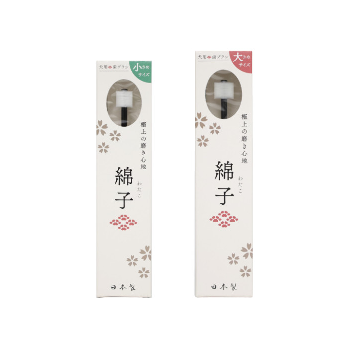 綿子【EC販売禁止商品】(取寄)