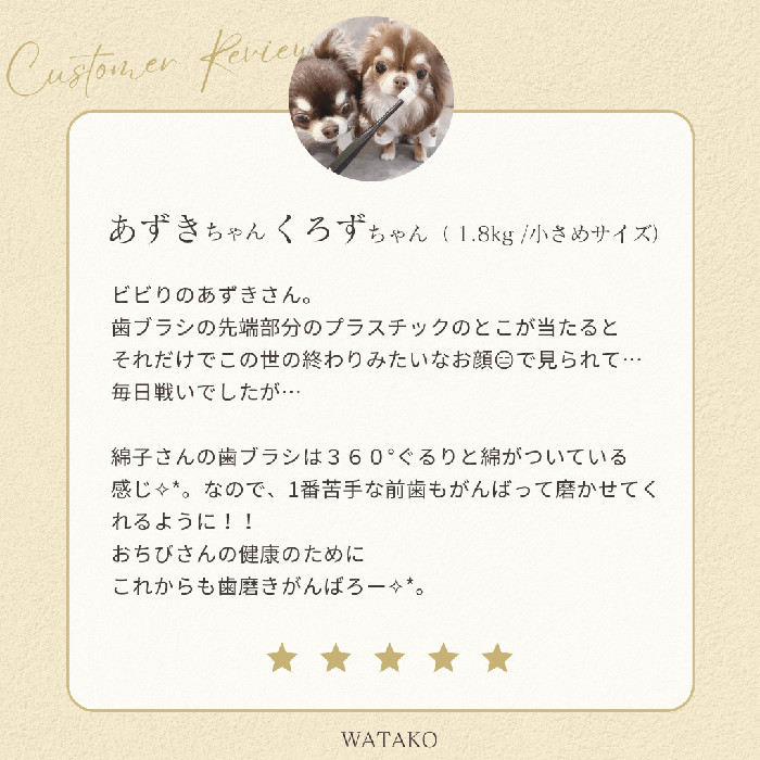 ワタコ説明7