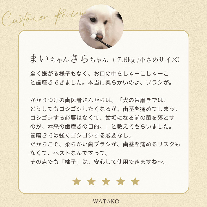 ワタコ説明8