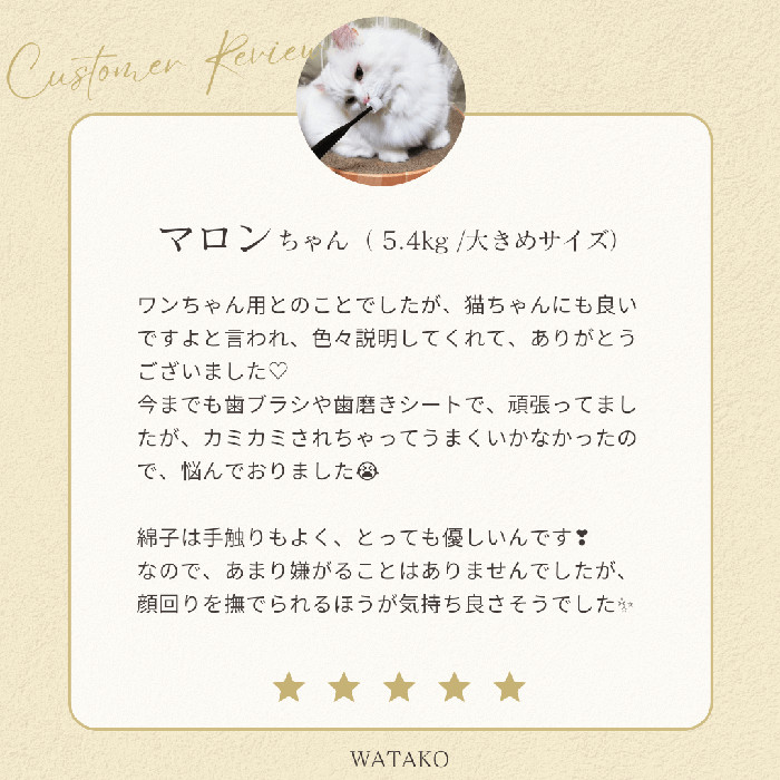ワタコ説明9