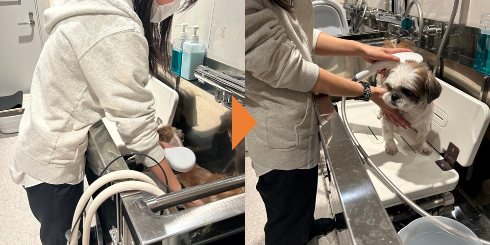 リラバスボード利用イメージ