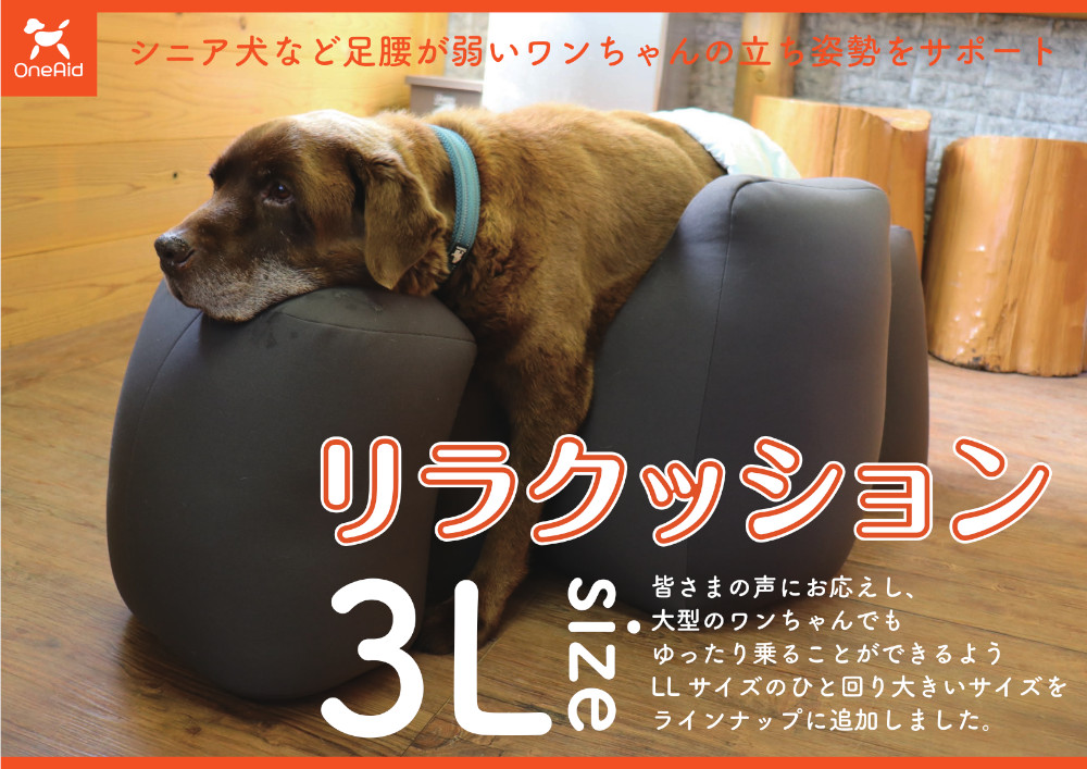 リラクッション3Lサイズラインナップ追加