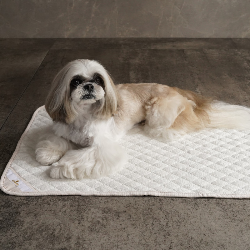 サーキュル画像 その7