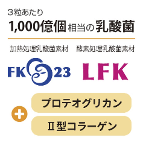 ズーットイメージ1