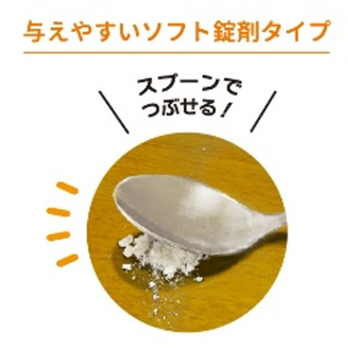 ズーットイメージ3