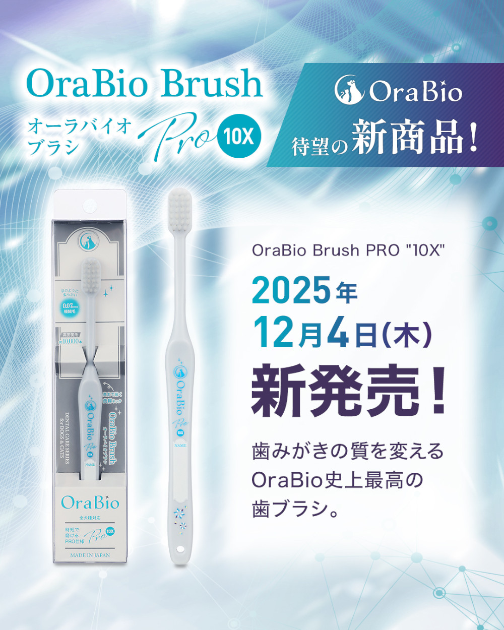 2025年12月4日発売