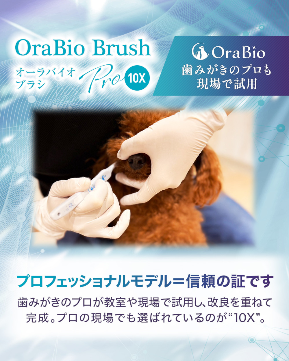 プロフェッショナルモデル