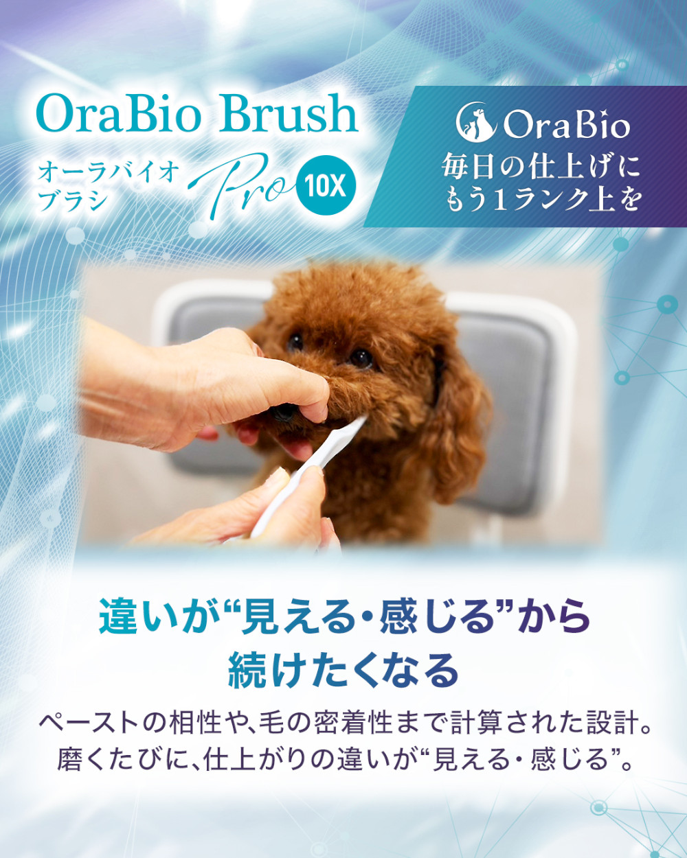 違いが見える・感じるから続けたくなる