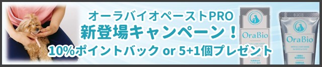 オーラバイオペーストプロ 新登場キャンペーン実施中