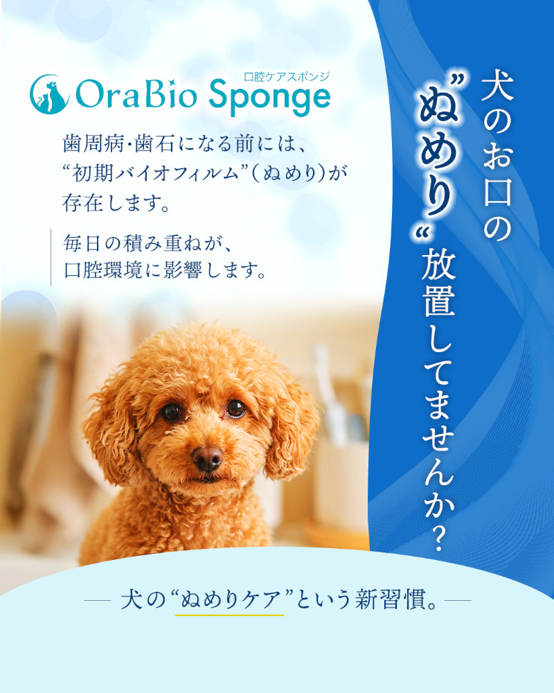 オーラバイオスポンジの説明 その1