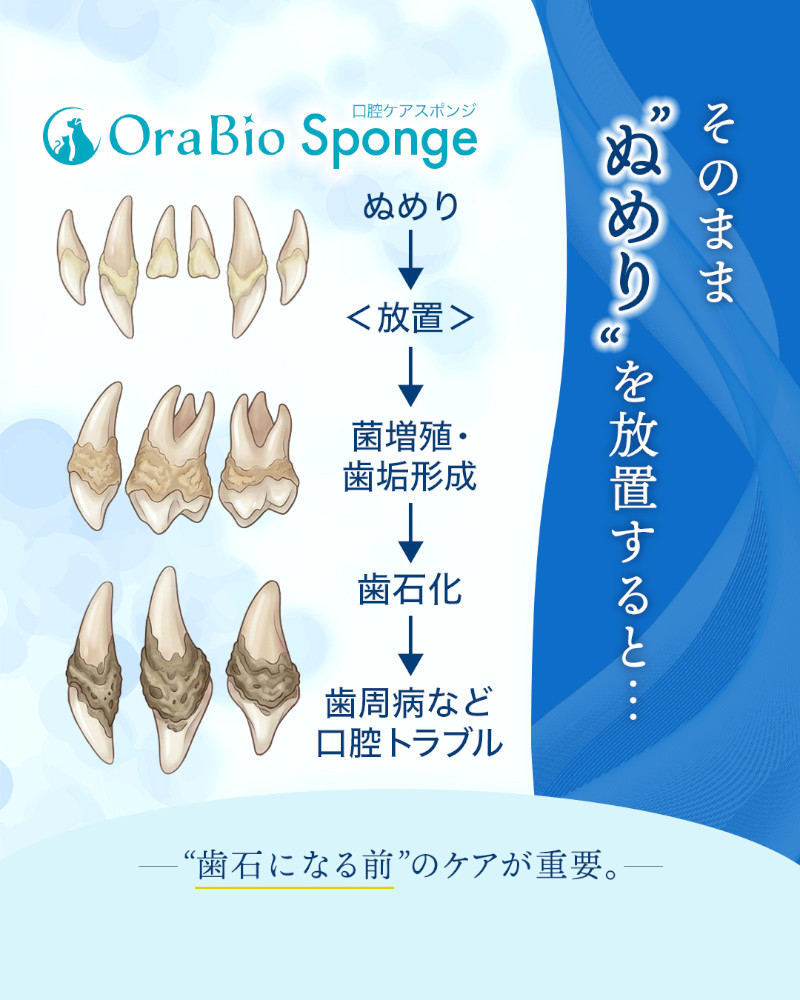 オーラバイオスポンジの説明 その3