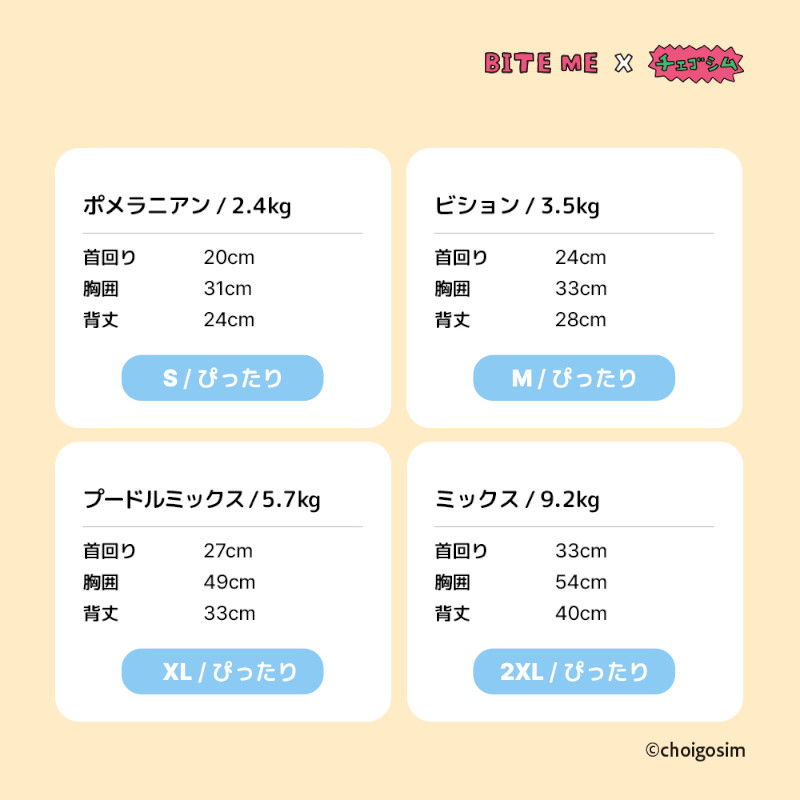 サイズイメージ