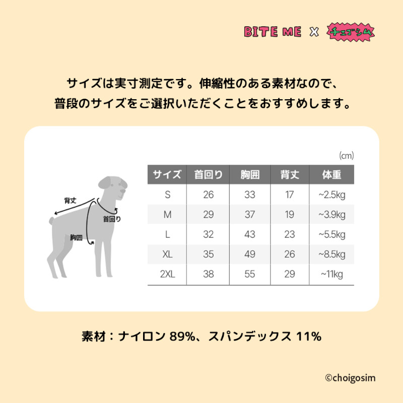 サイズ表