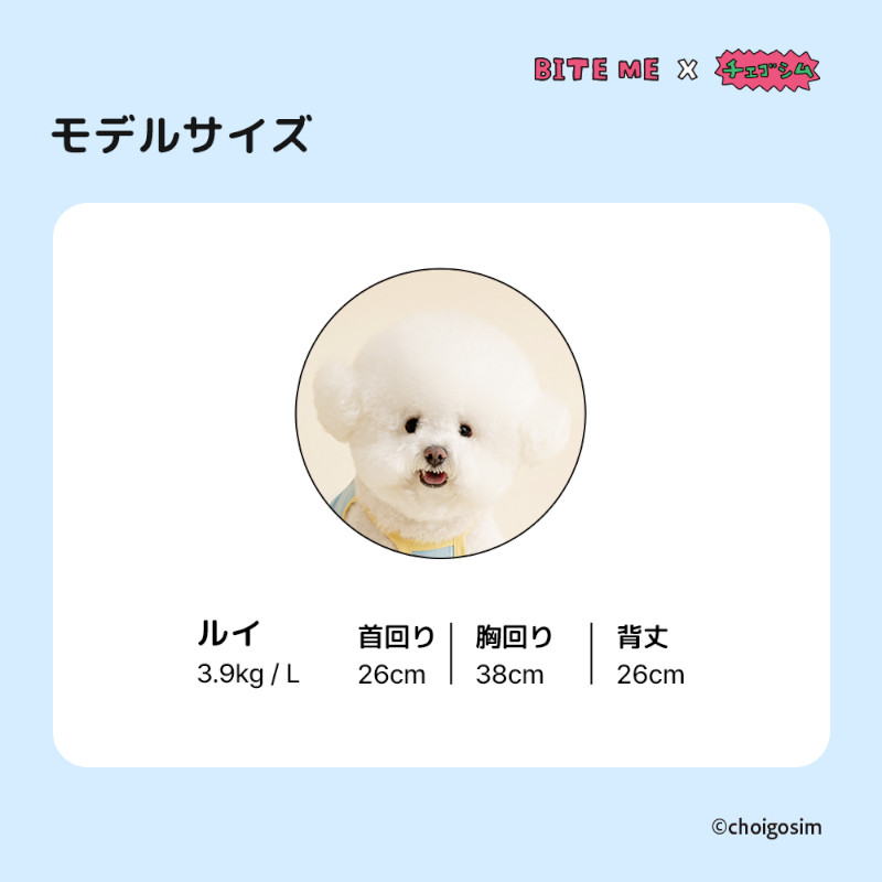 モデルサイズ