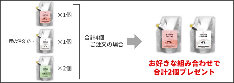 キャンペーン注文例