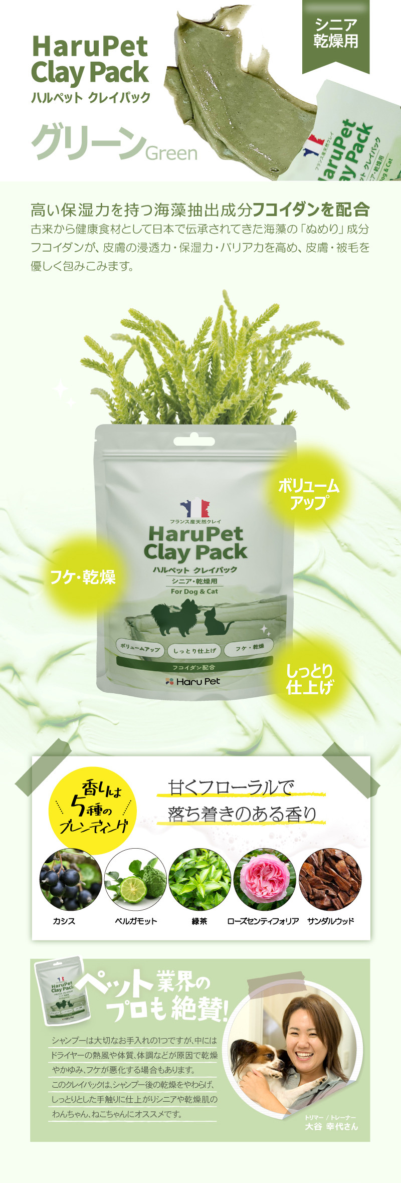 クレイパック グリーン詳細