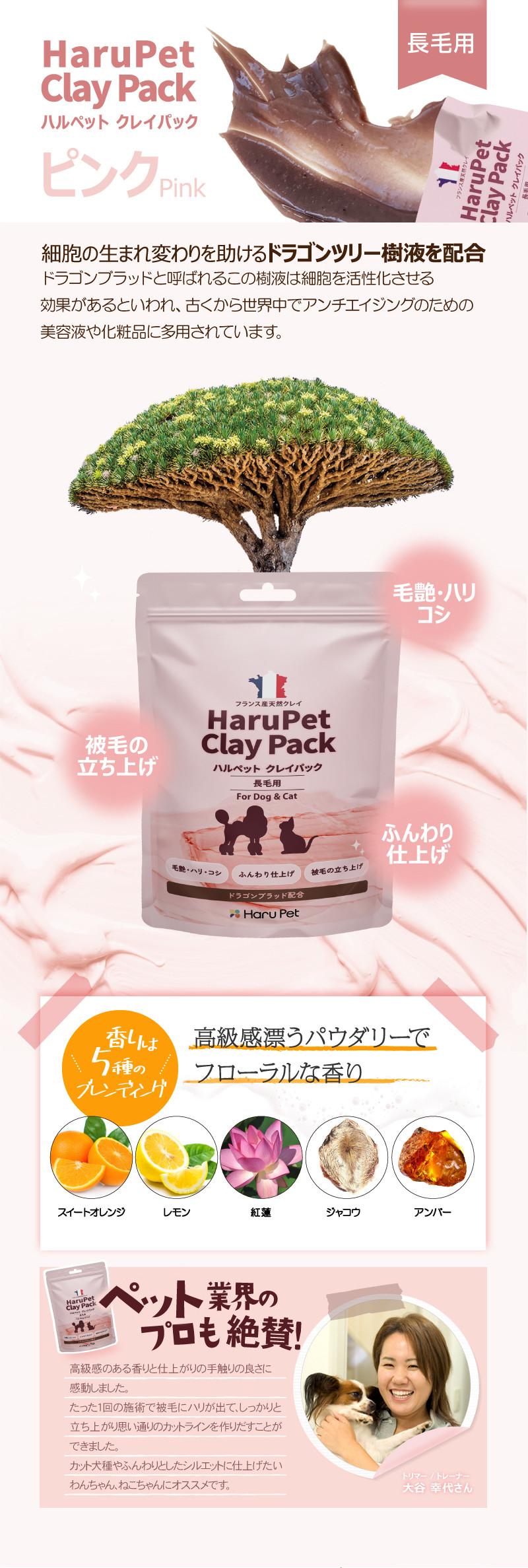 クレイパック ピンク詳細