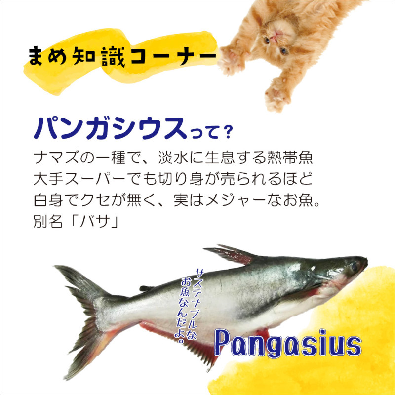 パンガシウスとは