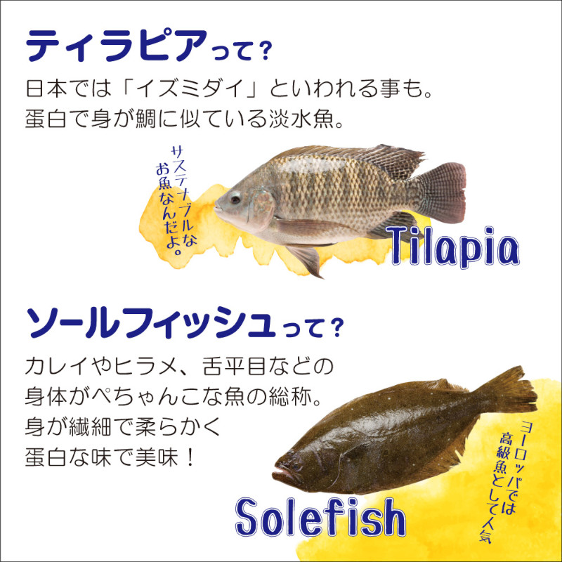 ティラピアとは
