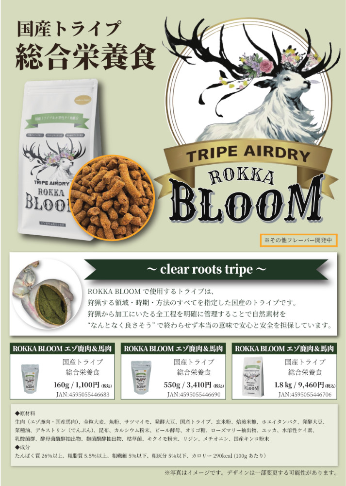 ロッカブルーム チラシ その1