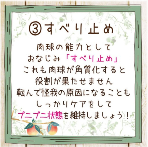 すべり止め