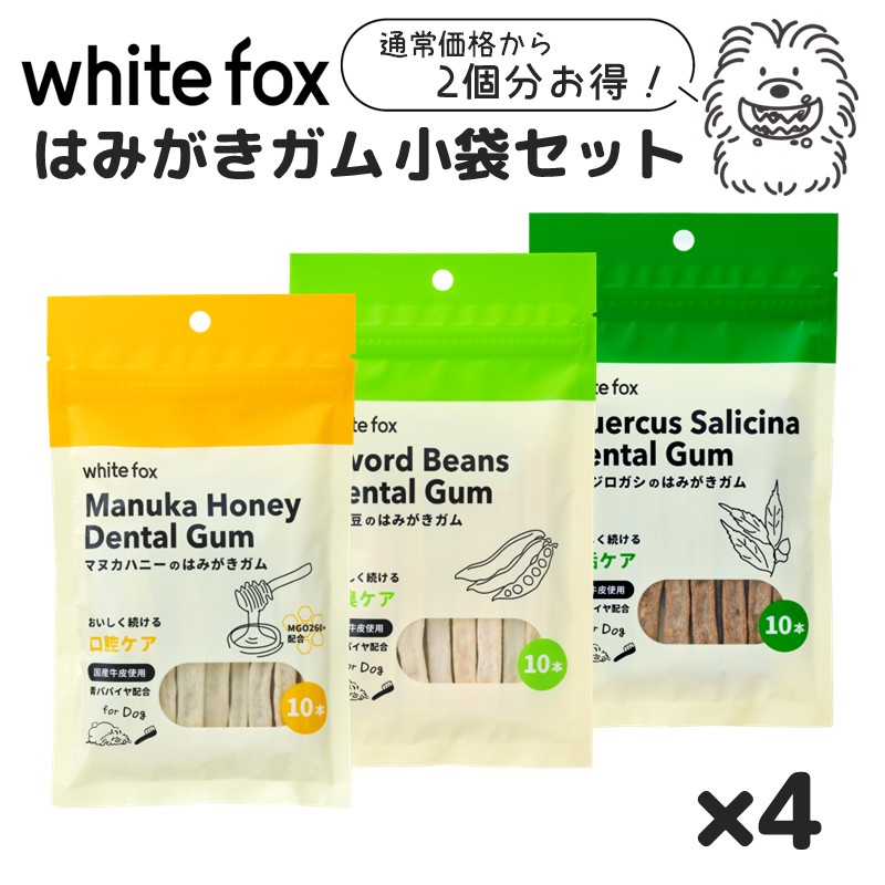 <キャンペーン対象商品>はみがきガム小袋セット【EC販売禁止商品】(予約)