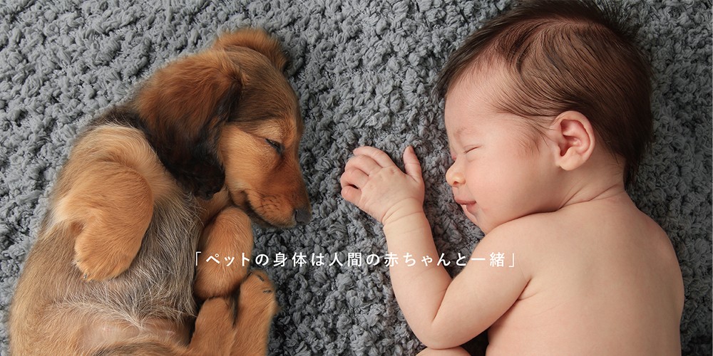 ペットの身体は人間の赤ちゃんと一緒