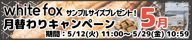 ホワイトフォックス月替わりキャンペーン5月分