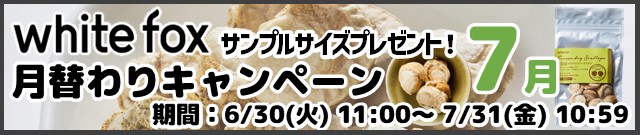 ホワイトフォックス月替わりキャンペーン7月分