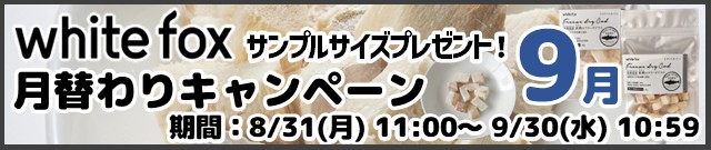 ホワイトフォックス月替わりキャンペーン9月分