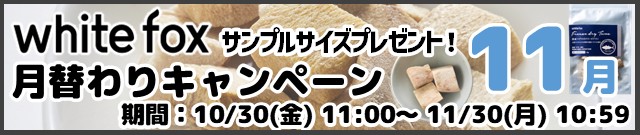 ホワイトフォックス月替わりキャンペーン11月分