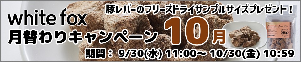 ホワイトフォックス月替わりキャンペーン10月分