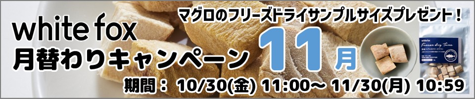 ホワイトフォックス月替わりキャンペーン11月分