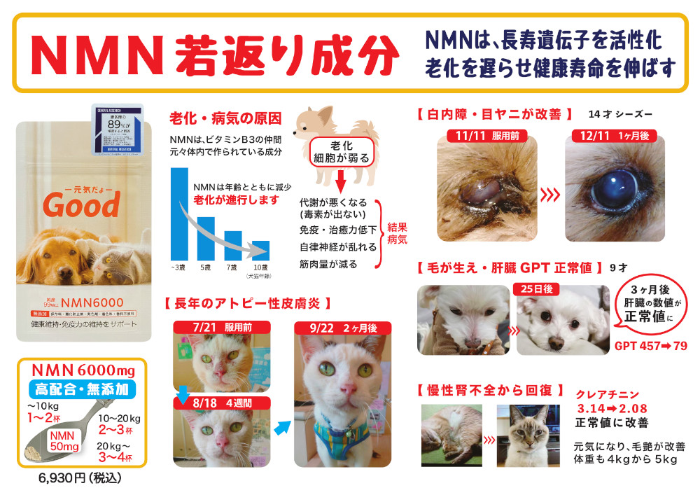 グッドポップ