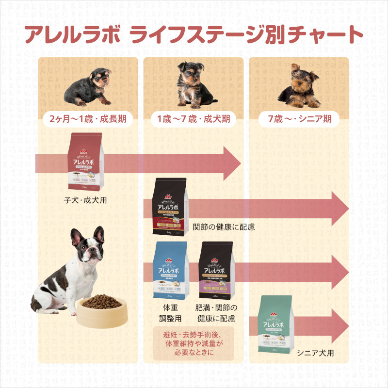 アレルラボ共通案内3