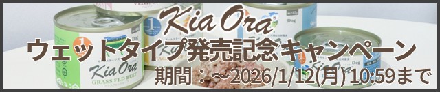 キアオラウェットタイプ発売記念キャンペーン