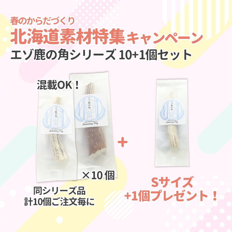 【北海道素材特集キャンペーン】【Humming Dog】エゾ鹿の角(セット注文)