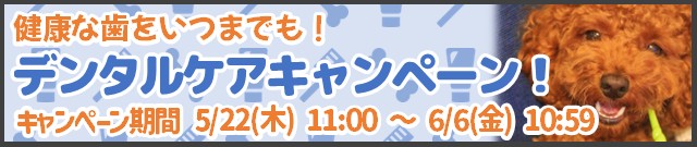 デンタルケアキャンペーン実施中