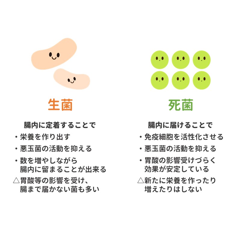 生菌と死菌イメージ