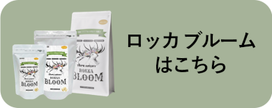 ロッカブルームはこちら