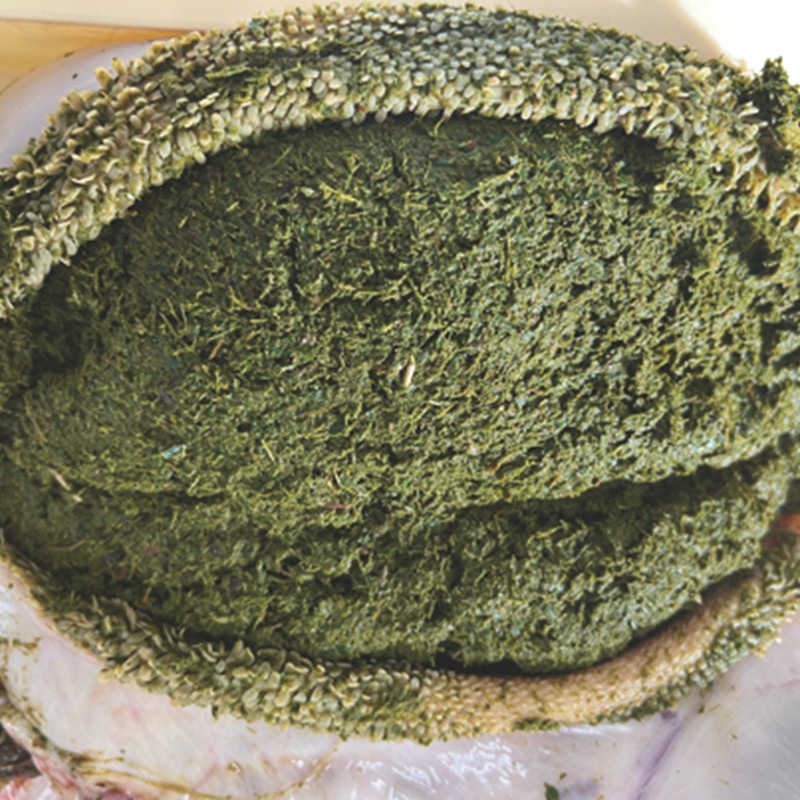 トライプイメージ