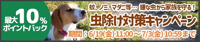 虫除け対策キャンペーン実施中
