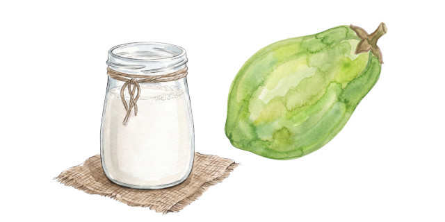 青パパイヤ & ヤギミルクイメージ