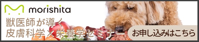 お申し込みはこちら
